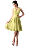 ColsBM Holly Daffodil Simple A-line Sleeveless Zipper Chiffon Graduation Dresses