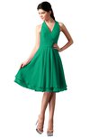 ColsBM Holly Sea Green Simple A-line Sleeveless Zipper Chiffon Graduation Dresses