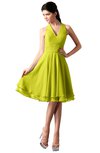 ColsBM Holly Sulphur Spring Simple A-line Sleeveless Zipper Chiffon Graduation Dresses