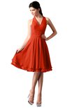 ColsBM Holly Tangerine Tango Simple A-line Sleeveless Zipper Chiffon Graduation Dresses