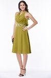 ColsBM Angelica Golden Olive Classic Lace up Chiffon Knee Length Beaded Plus Size Bridesmaid Dresses
