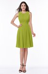 ColsBM Daphne Green Oasis Elegant A-line Jewel Half Backless Chiffon Knee Length Prom Dresses