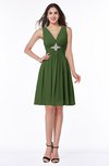 ColsBM Haley Garden Green Modern Fit-n-Flare Sleeveless Zip up Chiffon Knee Length Prom Dresses