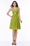 ColsBM Haley Green Oasis Modern Fit-n-Flare Sleeveless Zip up Chiffon Knee Length Prom Dresses