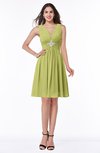 ColsBM Haley Linden Green Modern Fit-n-Flare Sleeveless Zip up Chiffon Knee Length Prom Dresses