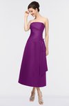 ColsBM Isabella Persian Plum Elegant A-line Bateau Sleeveless Zip up Ruching Evening Dresses