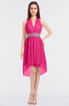 ColsBM Zuri Fandango Pink Glamorous A-line Halter Sleeveless Zip up Appliques Bridesmaid Dresses