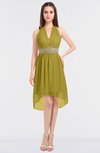ColsBM Zuri Golden Olive Glamorous A-line Halter Sleeveless Zip up Appliques Bridesmaid Dresses