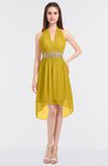 ColsBM Zuri Lemon Curry Glamorous A-line Halter Sleeveless Zip up Appliques Bridesmaid Dresses