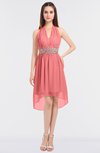 ColsBM Zuri Shell Pink Glamorous A-line Halter Sleeveless Zip up Appliques Bridesmaid Dresses